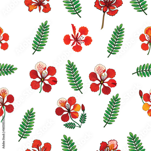 seamless pattern with red delonix regia flowers 