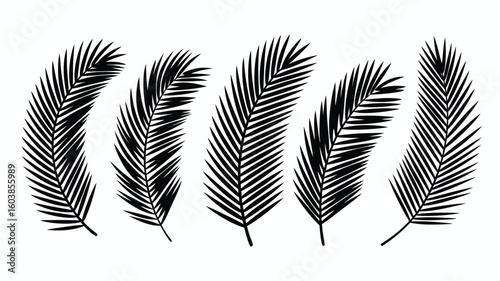 Black Silhouette Illustration of Five Palm Fronds Against a White Background, Tropical Design