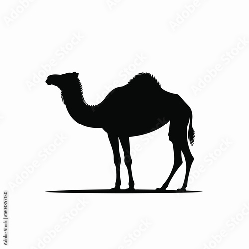 Single Camel Silhouette Vector Illustration