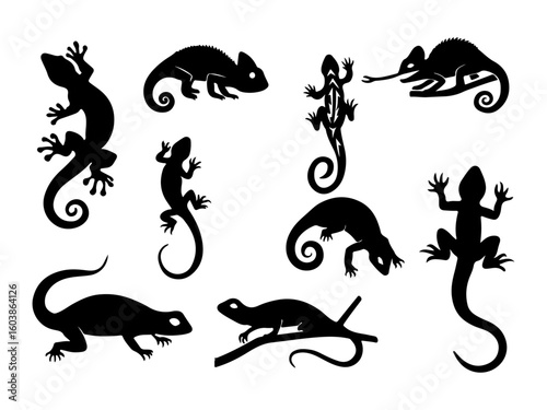 Collection of diverse lizard silhouettes in various poses and styles isolated on white background silhouette