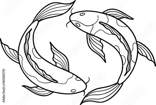 Two koi fish swimming in circle yin yang black and white
