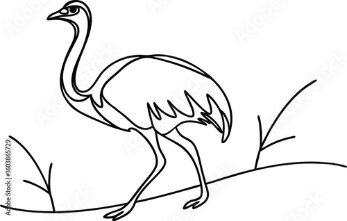 Elegant ostrich walking on a branch bird animal