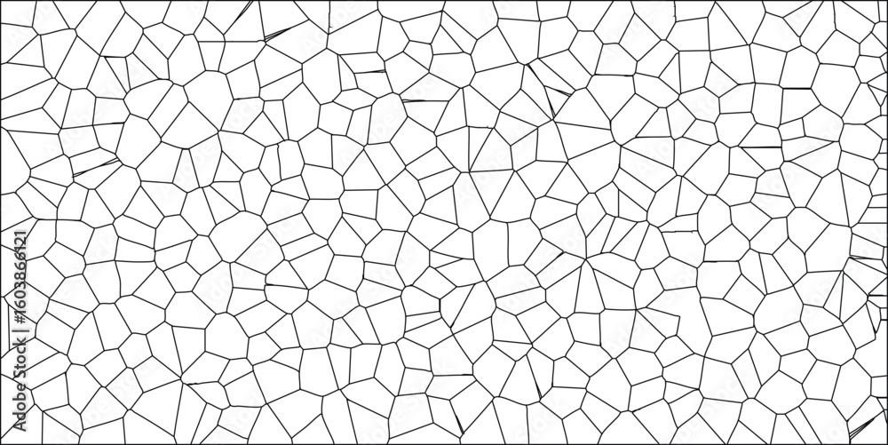 Obraz premium Abstract black and white pattern illustration of a voronoi diagram cell structure depicting a complex geometric design for backgrounds and textures.