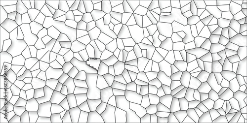 Abstract cellular pattern with white background and black outlines resembling a biological cell structure