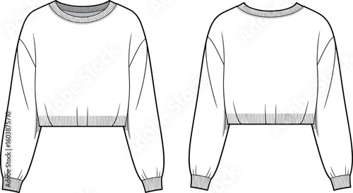 CAD drawing flat vector illustration of a women’s cropped crew neck sweatshirt with ribbed waistband and cuffs, front and back