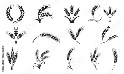 Black Wheat Silhouette Icons Set Vector Collection of Grain, Barley, and Ear Symbols for Agriculture and Farming Design 