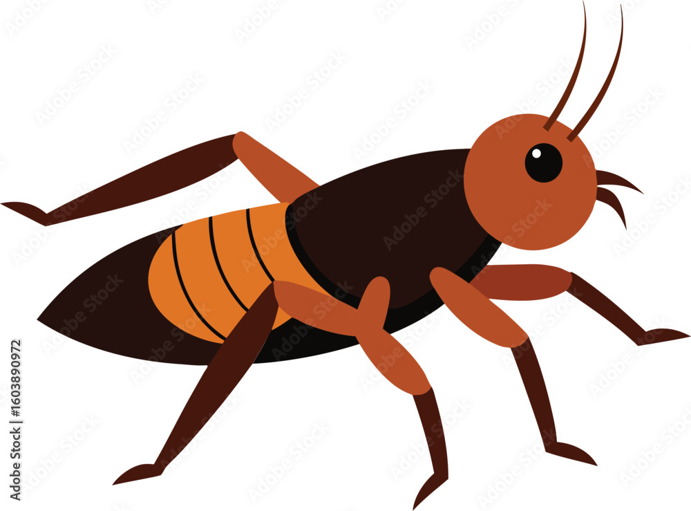 Fototapeta premium Close-up of mole cricket on soil, detailed insect photography of mole cricket in natural habitat, macro shot of mole cricket digging underground, high resolution free stock photo for nature and wildli