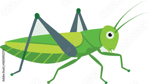 Close-up photo of green grasshopper on leaf, detailed insect macro shot, nature wildlife, outdoor garden, summer background, vibrant colors, high resolution free stock image