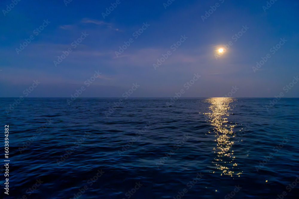 Fototapeta premium a yellow vivid bright full moon in the blue sky over the open sea