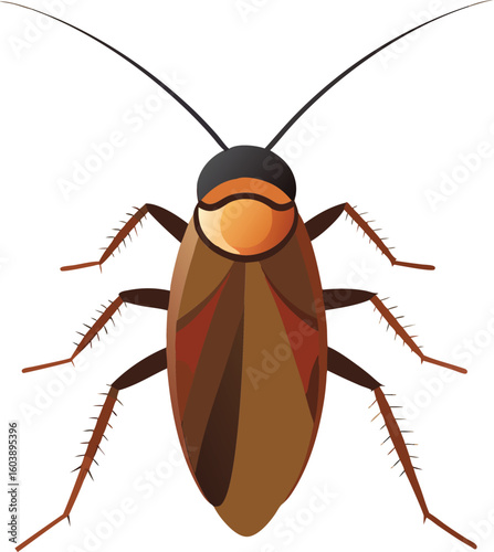 High quality close-up image of American cockroach, Periplanar americana, detailed insect photography, pest species, brown cockroach on surface, perfect for scientific, educational, and commercial use