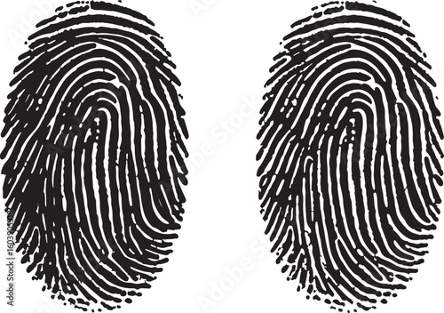fingerprint vector illustration