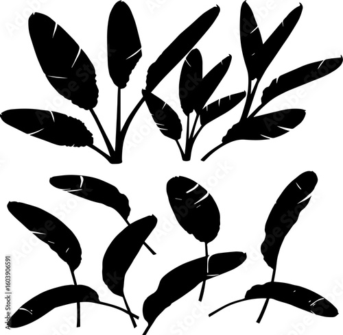 A collection of stylized banana leaf silhouettes in black against a white background, showcasing various arrangements and perspectives.