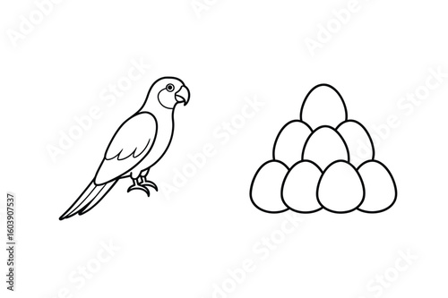 Parrot and stacked eggs bird avian
