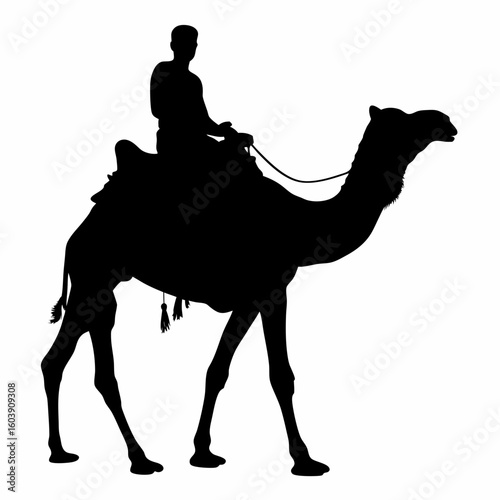 Man ride  one camels with a simple silhouette