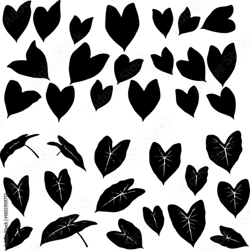 A collection of black silhouette illustrations of taro leaves in various sizes and orientations, arranged on a white background.