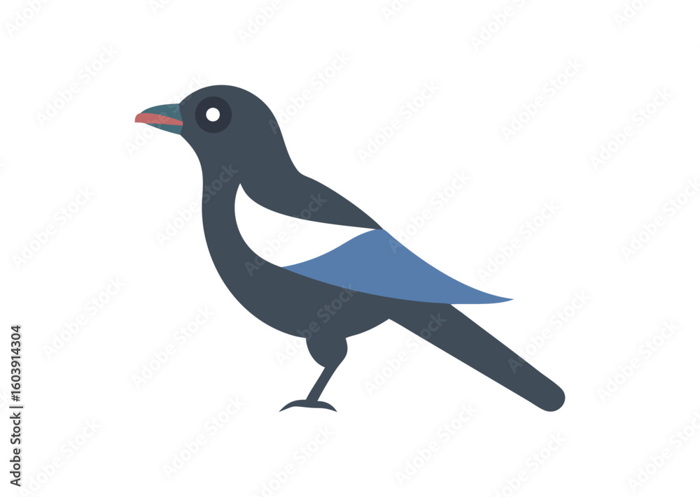Obraz premium Magpie bird vector illustration