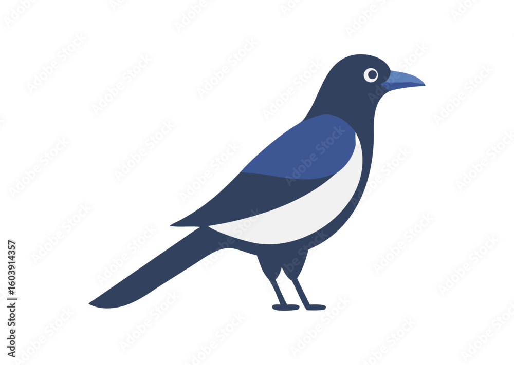 Obraz premium Magpie bird vector illustration