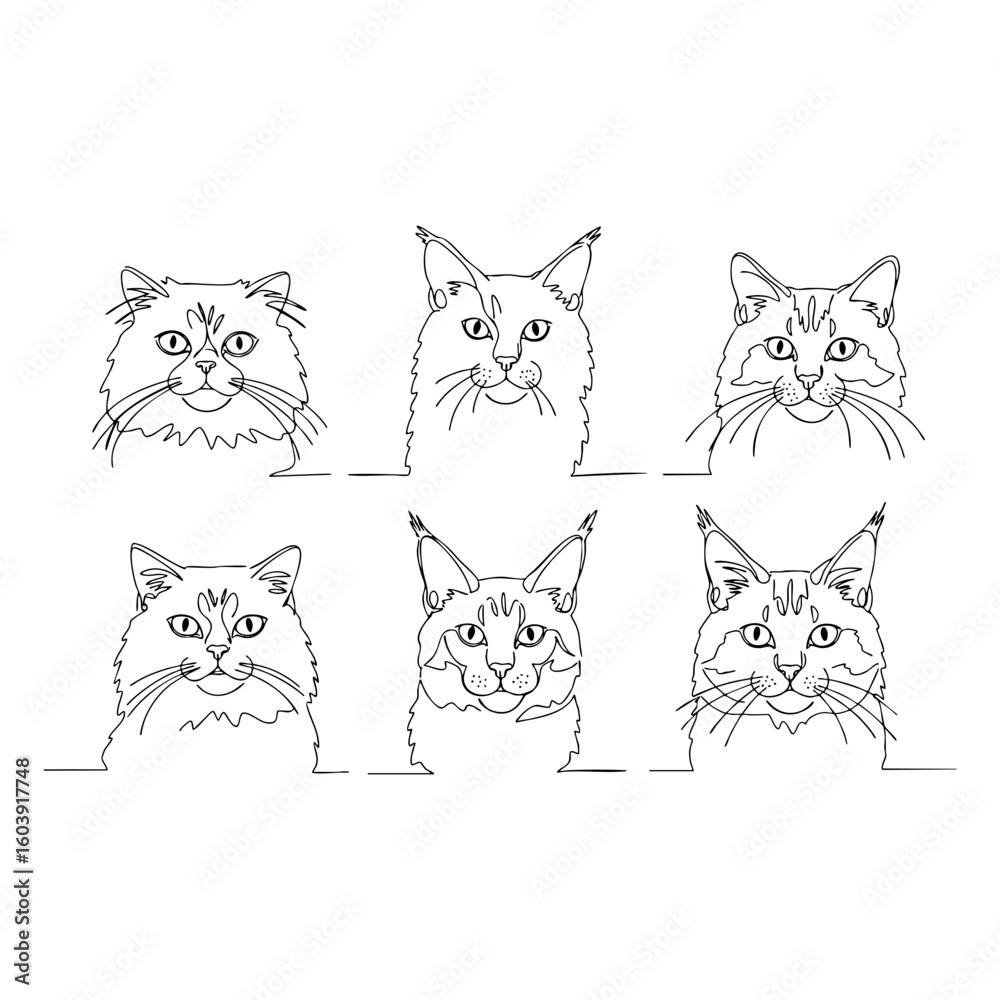 Vector line art of six cat faces in continuous line style with detailed expressions and fur patterns Vector line art of six cat faces in continuous line style with detailed expressions and fur patterns