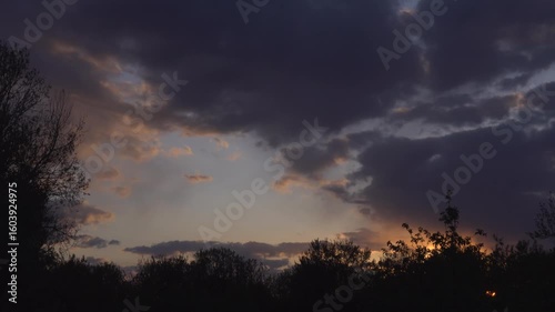 Silhouettes of trees and evening clouds at sunset.