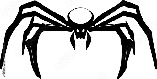 A black and white spider 