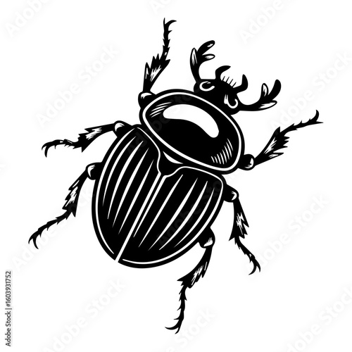 Black and white vector illustration of a dung beetle in a linocut or woodcut style for Nature Enthusiasts and Insect Art Collectors