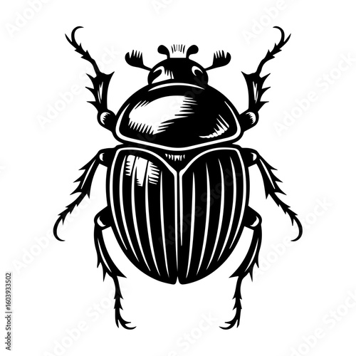 Black and white vector illustration of a dung beetle in a linocut or woodcut style for Nature Enthusiasts and Insect Art Collectors