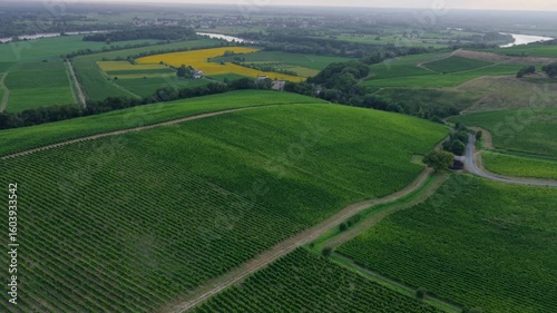 France, Gironde, Haut-Langoiran, Aerial view at sunset of the vineyard and wooded areas of Chateau de Langoiran in the Bordeaux vineyards at sunrise