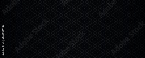 Elegant dark background. Black and white abstract background