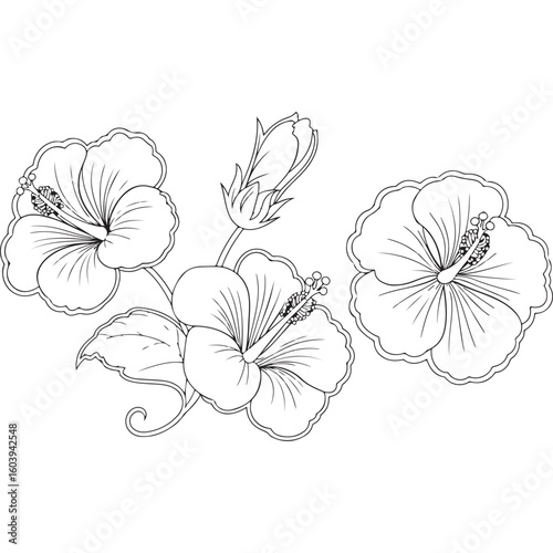 Hand drawn floral vector illustration with vintage flowers leaves and seamless nature pattern design