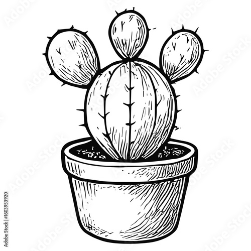 Mini Opuntia Cactus in Pot