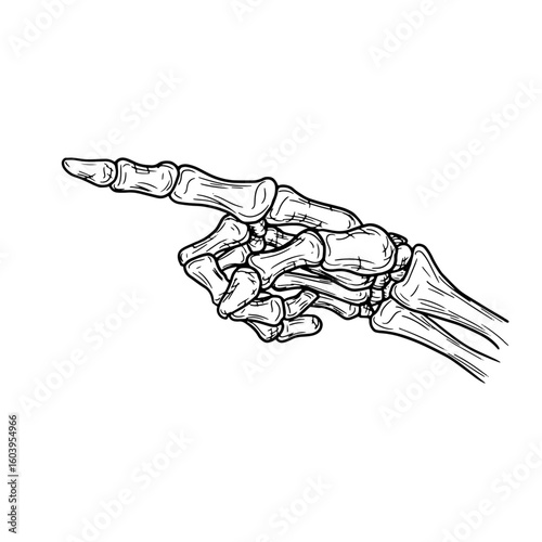 Skeleton's hand points with bony finger, silhouetted black-and-white sketch. Vector illustration. Hand of dead man, isolated on white background. For tattoos, prints, stickers, Halloween greeting card