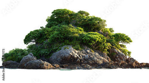 Rocky island covered in dense green trees and foliage surrounded by water isolated on transparent background