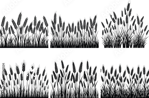 Black silhouette of wheat stalks against a white background