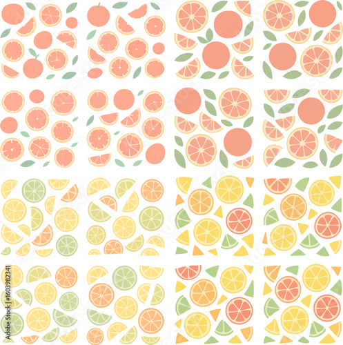 Citrus Fruit Pattern Design Set.