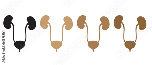 Human Urinary System Icon Set. Black & Brown Anatomical Silhouettes of Kidneys, Bladder, and Urethra for Medical and Educational Designs.