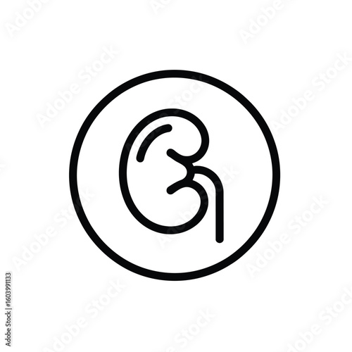 Kidney Health Icon Isolated on White Background Depicting Renal Wellness and Urinary System