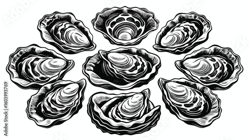 Artistic illustration of elegant oysters in black and white perfect for culinary and seafood related designs.