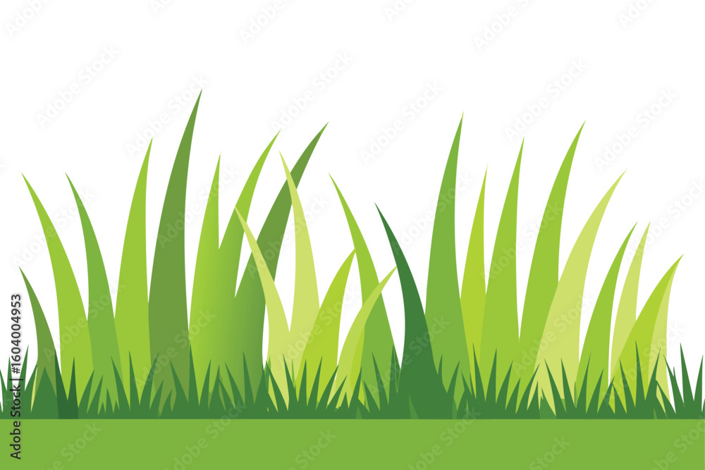 Fototapeta premium Green grass blades with varying shades nature lawn