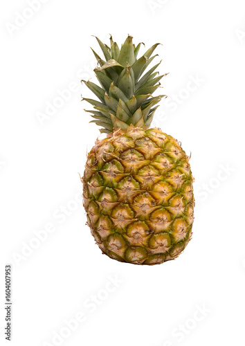 whole pineapple on a white background