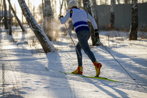 Tableau sur toile rear view skier in birch forest at cross-country skiing