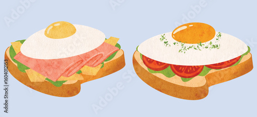 Toast Bread Sandwich with Egg, Tomato, Vegetables Filling, Breakfast Lunch Food Illustration