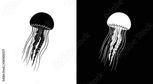 Two contrasting jellyfish illustrations, one black on a white background and its inverted white counterpart on a black background.