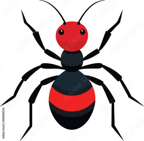 Close-up of a Velvet Ant Insect on Natural Ground – Detailed Macro Shot of Colorful Furry Wasp-Like Insect in Nature Habitat – Perfect for Educational, Scientific, and Nature-Themed Projects