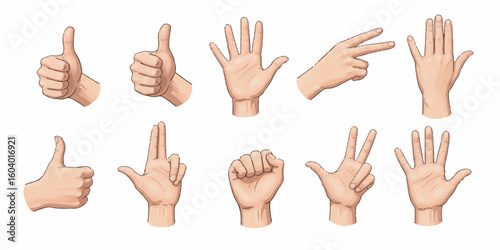 Hand Vector Illustration – Clean Line Art of Human Hand Gestures