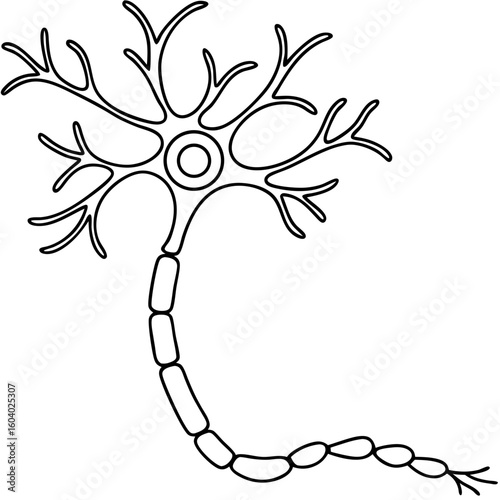 Depiction of neuron with axon, showing intricate details in line art. This neuron anatomy focuses on structure and function of this critical component in nervous system communication.