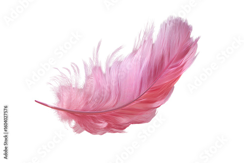 Floating Pink Feather with Light Wind Curl Effect and Soft Shadows, Angled Perspective, Transparent Background.png