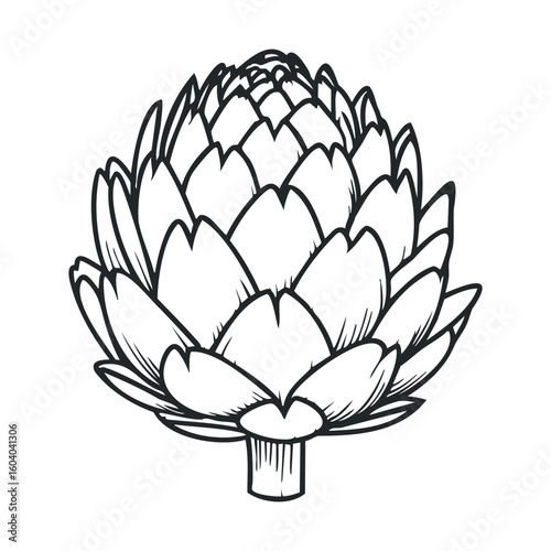 Detailed black and white artichoke illustration with layered leaves