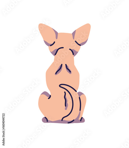 Little dog of toy breed sits back view. Cute puppy of Chihuahua is turned away. Backside of relaxing pup. Behind of funny domestic animal, pet with tail. Flat isolated vector illustration on white
