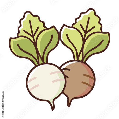 Turnip Illustration Root Vegetable Healthy Eating Diet Nutrition Food Icon Design
