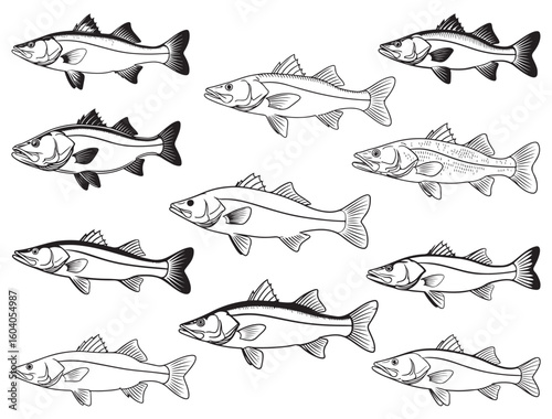 SNOOK FISH SILHOUETTE